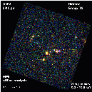 PN HCG16 sm