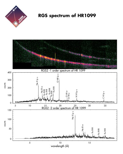 XMM-Newton RGS First Light - HR1099 #2