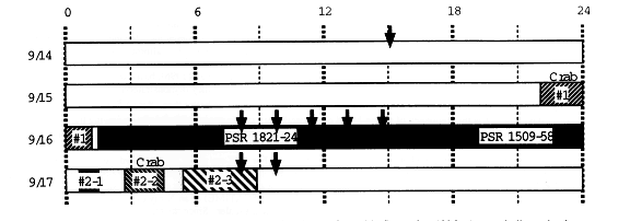 Time table of the observations for timing calibration performed 
in September 1996