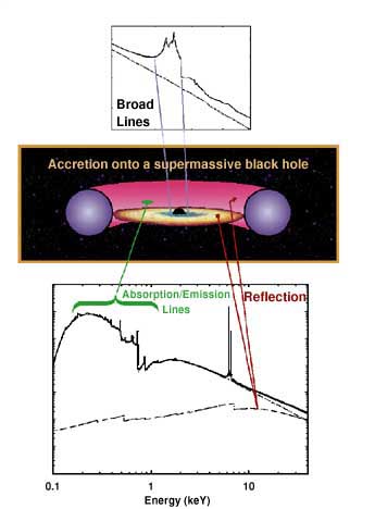 X-Ray Observations of Super-Massive
Black Holes