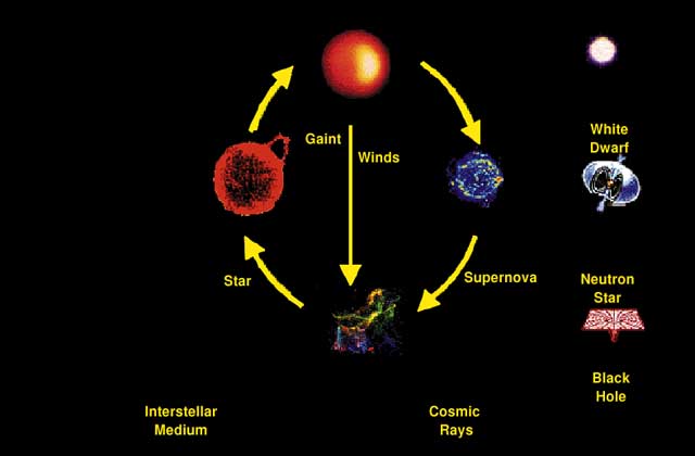 Cycles of Matter