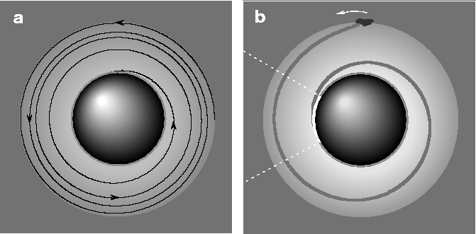 view of the sonic point model