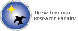 DREW Logo