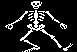 skeleton image