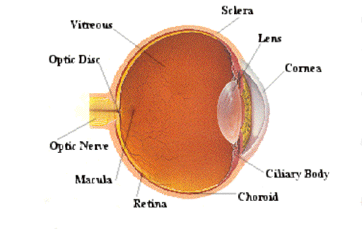 eye diagram